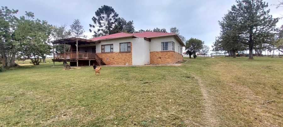 3 Bedroom Property for Sale in Komga Rural Eastern Cape